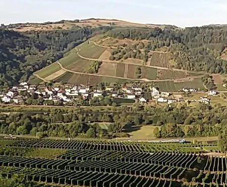 Gaestehaus-weingut Michael Scholer Schleich