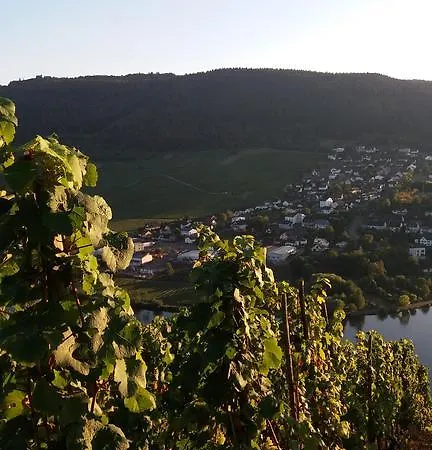 Gaestehaus-weingut Michael Scholer Schleich