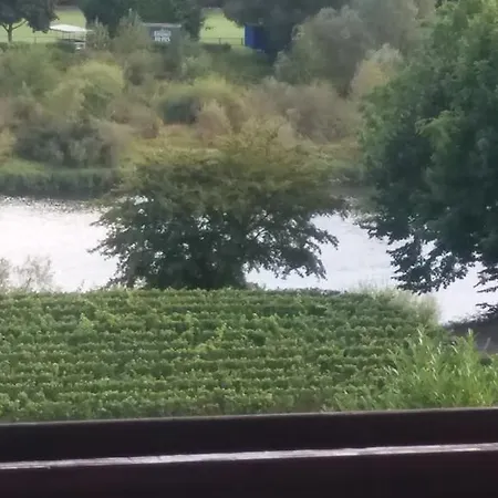 Gaestehaus-weingut Michael Scholer Schleich