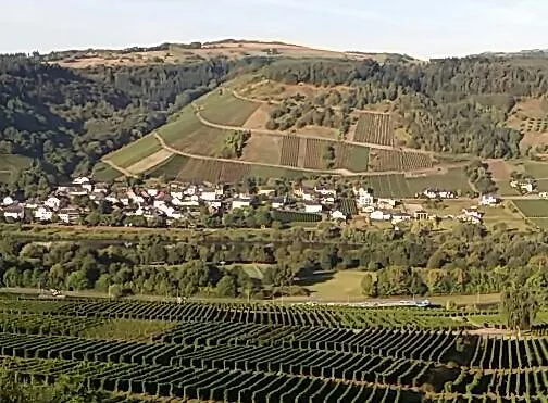 Gästehaus-weingut Michael Scholer Schleich