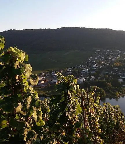 Gästehaus-weingut Michael Scholer Schleich
