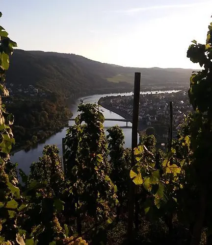 Pensión Gaestehaus-weingut Michael Scholer Schleich