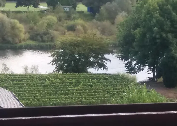 Gaestehaus-weingut Michael Scholer Schleich